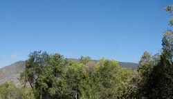 Sandia Mountains