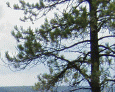 At the North Rim