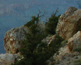 Lipan Point
