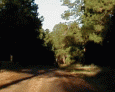 To the fire tower