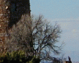 Watchtower