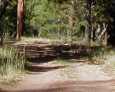 Back to Hawkwatch camp