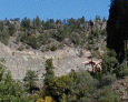 Apache Creek to Quemado