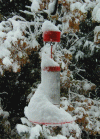 Hummingbird Feeder